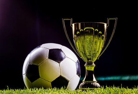 系列专业的 系列专业的