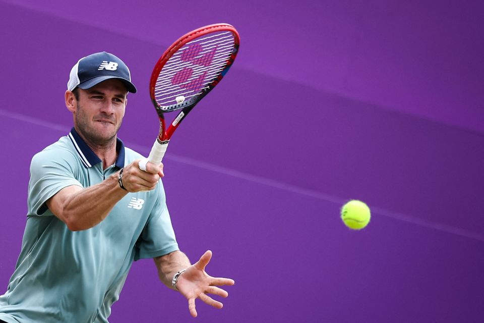 球迷开始了 球迷开始了