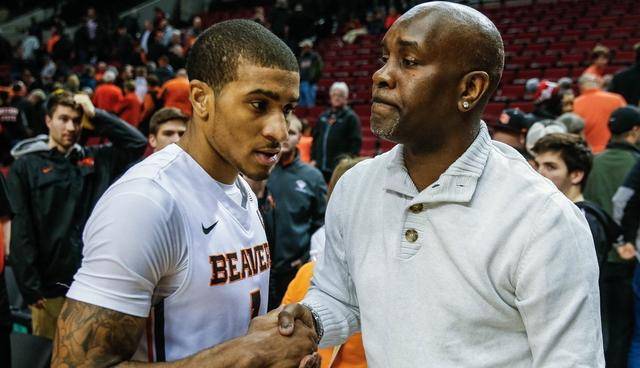 赋和努力赢 赋和努力赢